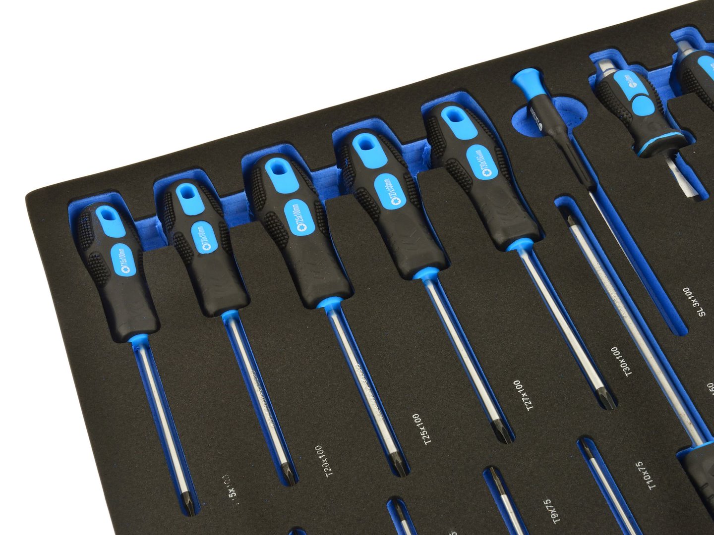 Set di cacciaviti con inserto in schiuma, inserto per carrello da officina, cacciaviti professionali 21 pezzi Geko