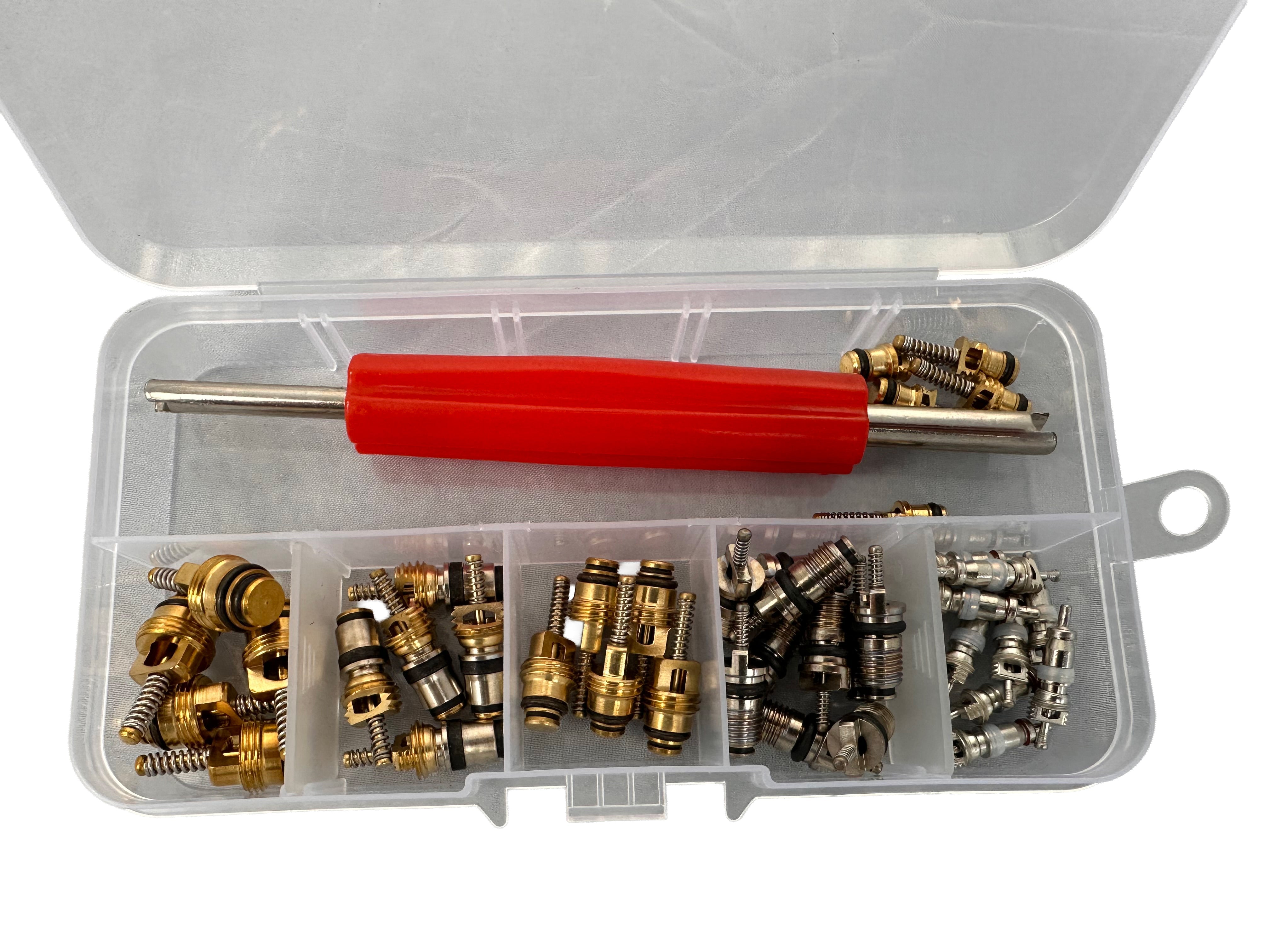 Set valvole per climatizzazione auto, kit valvole a spillo per impianti di aria condizionata autovetture, 41 pezzi Gebo Tools