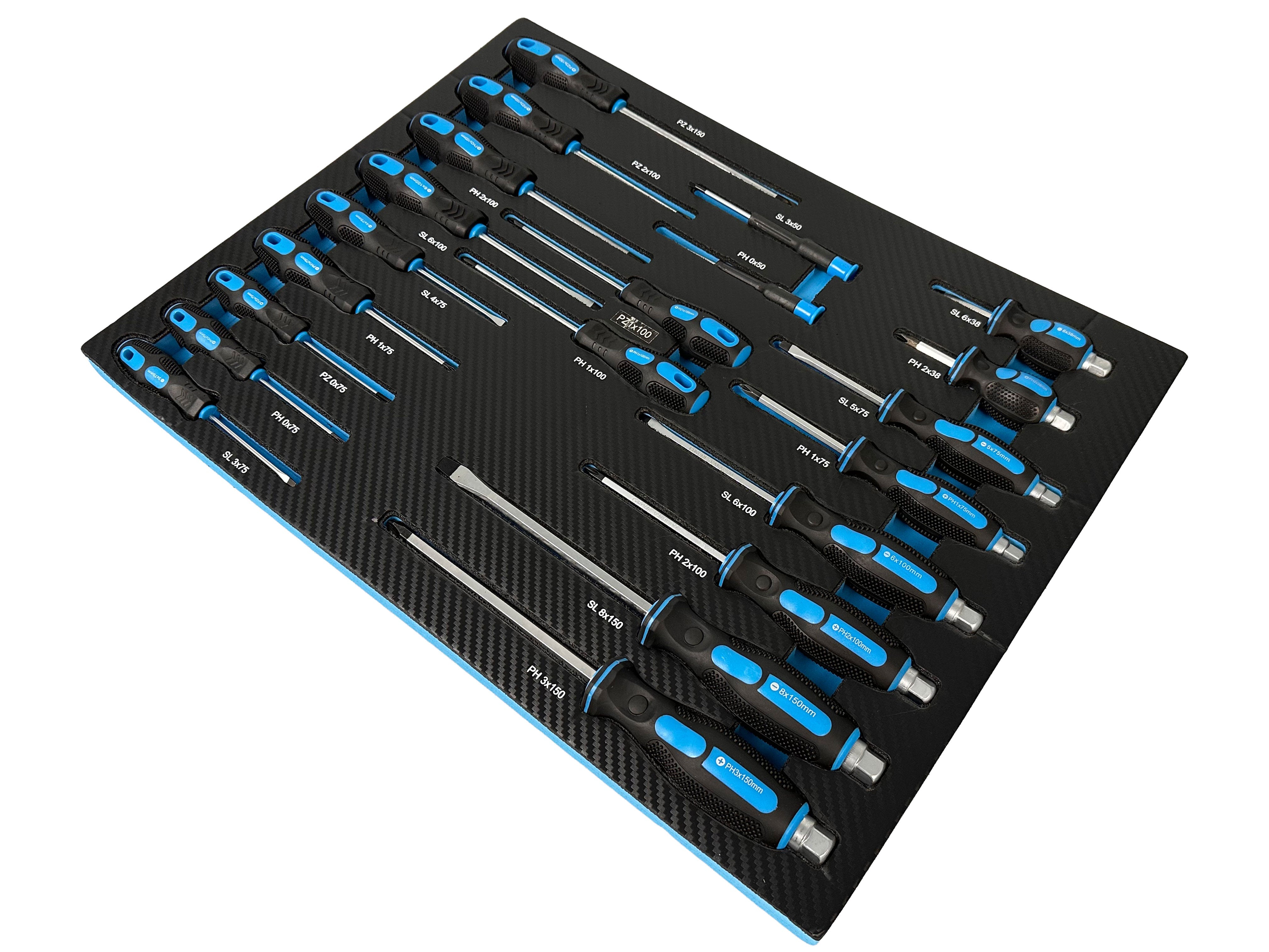 Set di cacciaviti con inserto in schiuma, inserto per carrello da officina, cacciaviti professionali 21 pezzi Gebo Tools
