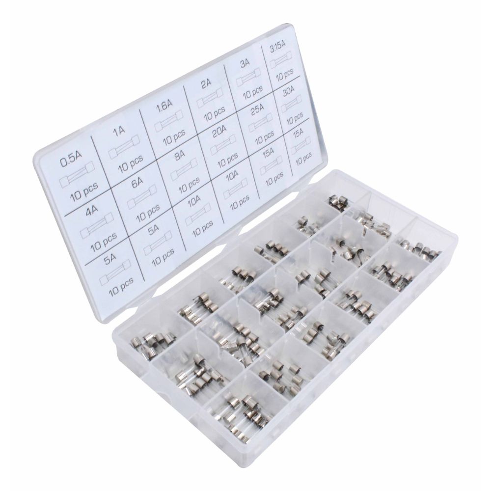 Mini fusibili auto kit - 180pcs mini fusibile, auto fusibile assortiti per camper/camion/moto, kit fusibili auto 5 x 20 mm