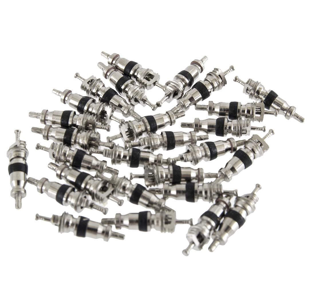 Kit-set 100 nuclei valvola pneumatici, valvole universali per pneumatici e cerchi auto