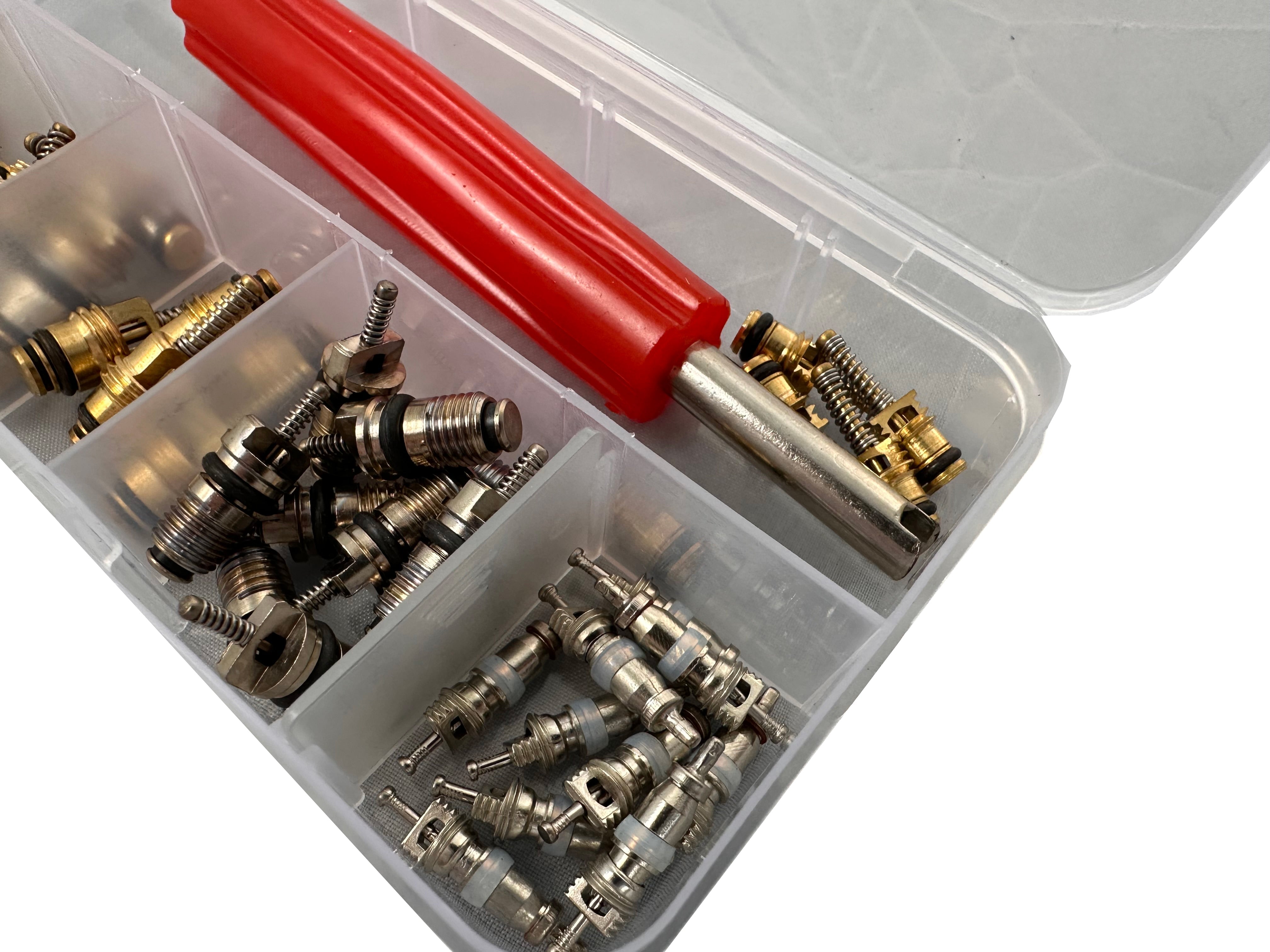 Set valvole per climatizzazione auto, kit valvole a spillo per impianti di aria condizionata autovetture, 41 pezzi Gebo Tools