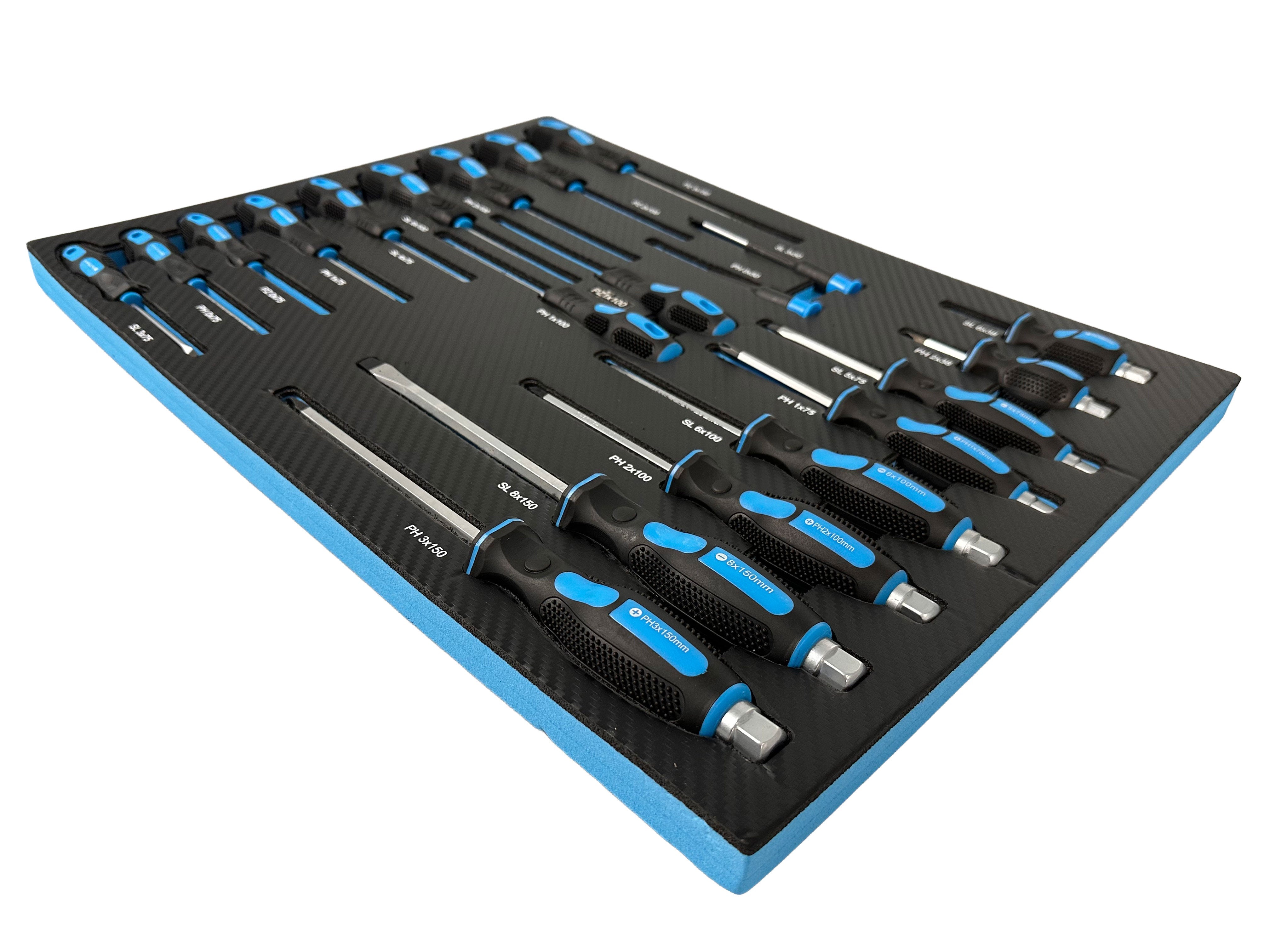 Set di cacciaviti con inserto in schiuma, inserto per carrello da officina, cacciaviti professionali 21 pezzi Gebo Tools
