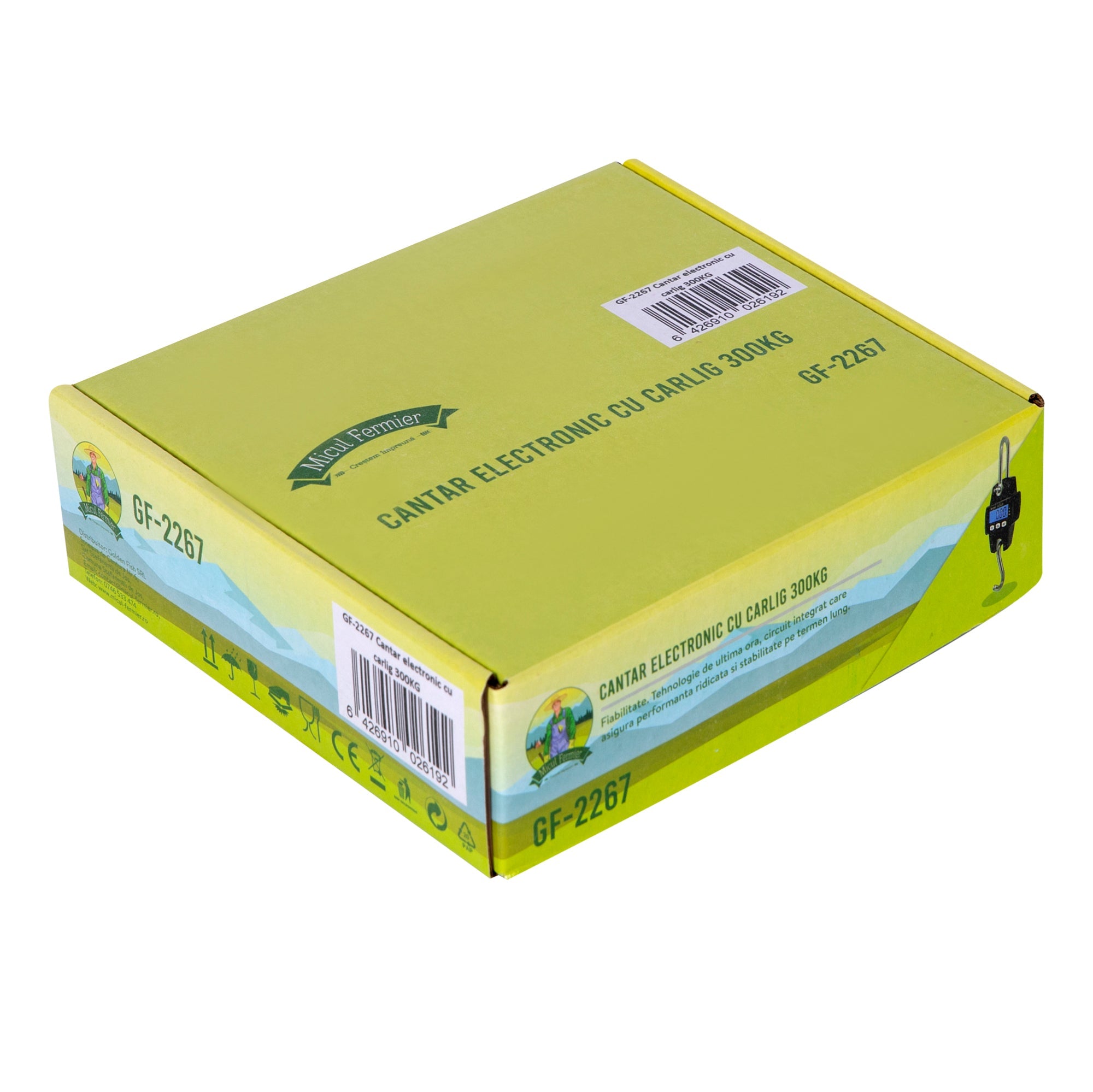 Bilancia elettronica con display LCD, 300 kg