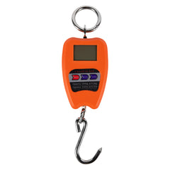 Bilancia elettronica con display LCD, 200 kg