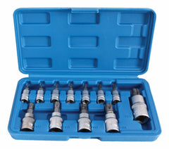 Set chiavi Torx bit TX8-TX60, chiavi a bussola per le automobili l'attrezzatura della famiglia, set di avvitamento, con foro centrale, 13 pezzi