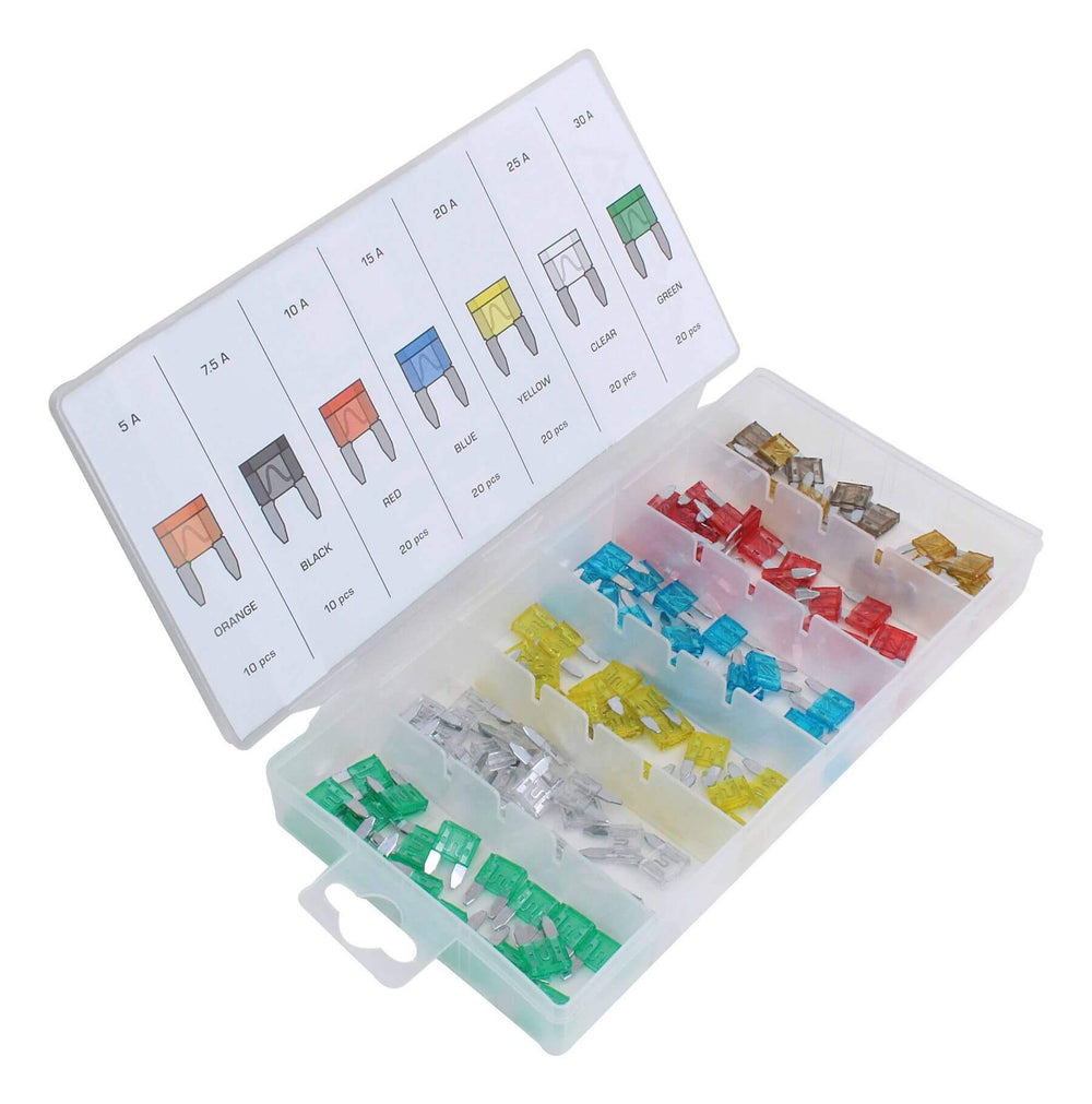 Kit-set mini fusibili di ricambio per auto, assortimento multicolor a lama per veicoli RV SUV, moto, camion, barche, 5-30 A ,120 pezzi Asta