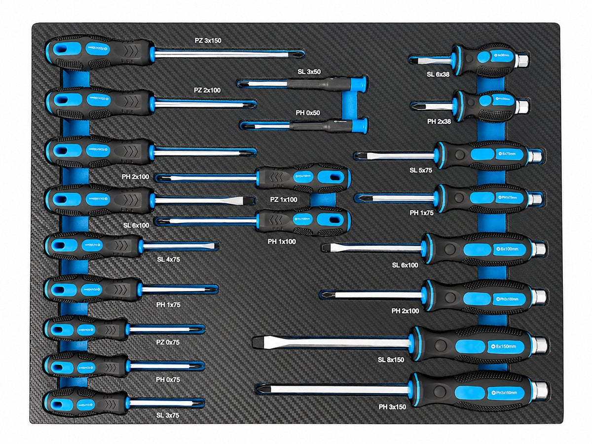 Modulo con inserto in schiuma per carrelli portautensili, kit cacciaviti professionali, 21 pezzi Gebo Tools