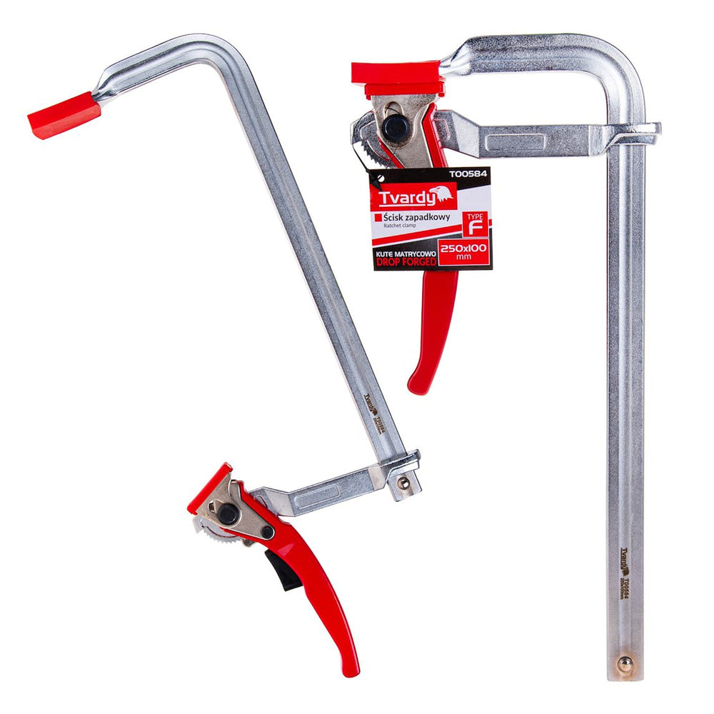 Morsetto per falegnameria con cricchetto 250x100 mm