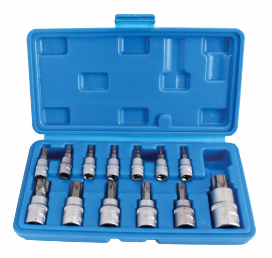 Set bussole con inserti Torx, da T8-T60 ,in acciaio Cr-V, 13 pezzi