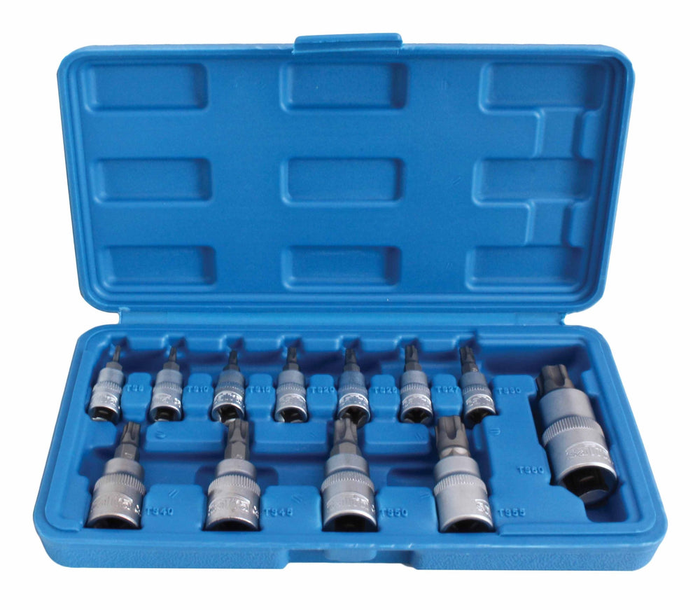 Set-kit chiavi a bussola TORX TS8–TS60  25 pezzi