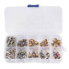 Kit di valvole per aria condizionata, inclusi i nuclei delle valvole per sistemi di refrigerazione per aria condizionata, 100 pezzi, kit utensili per valvole di scarico per valvole di refrigerazione, per auto